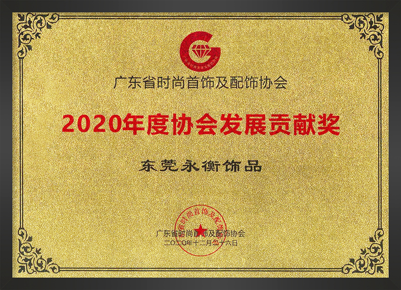 2020年(nián)度協會(huì)發展貢獻獎